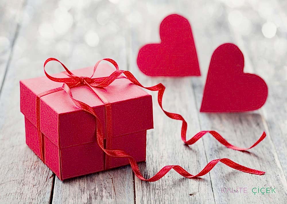 sevgililer günü hediye