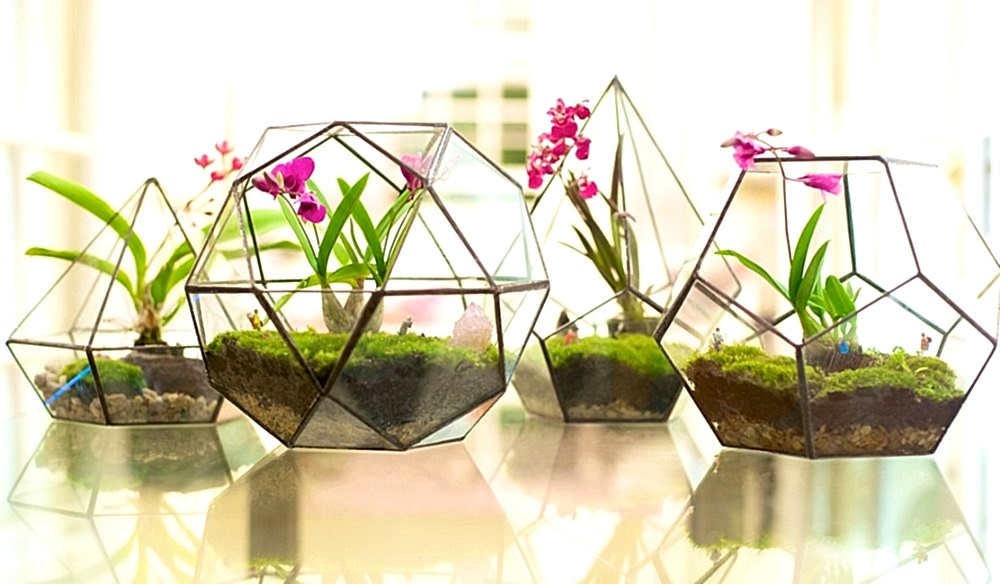 teraryum çiçek