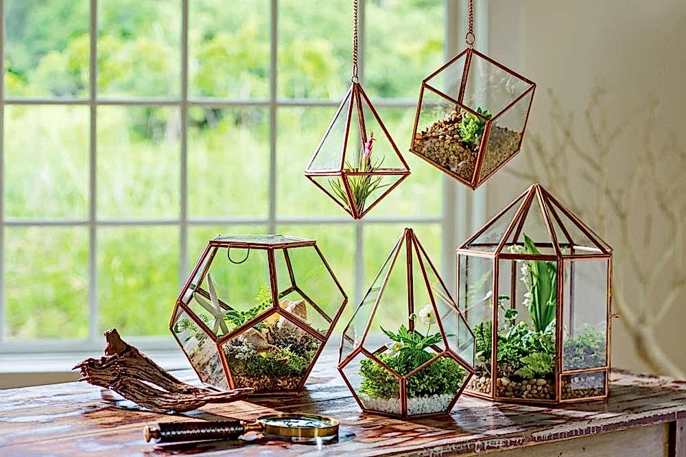 teraryum yapımı, teraryum,teraryum çeşitleri