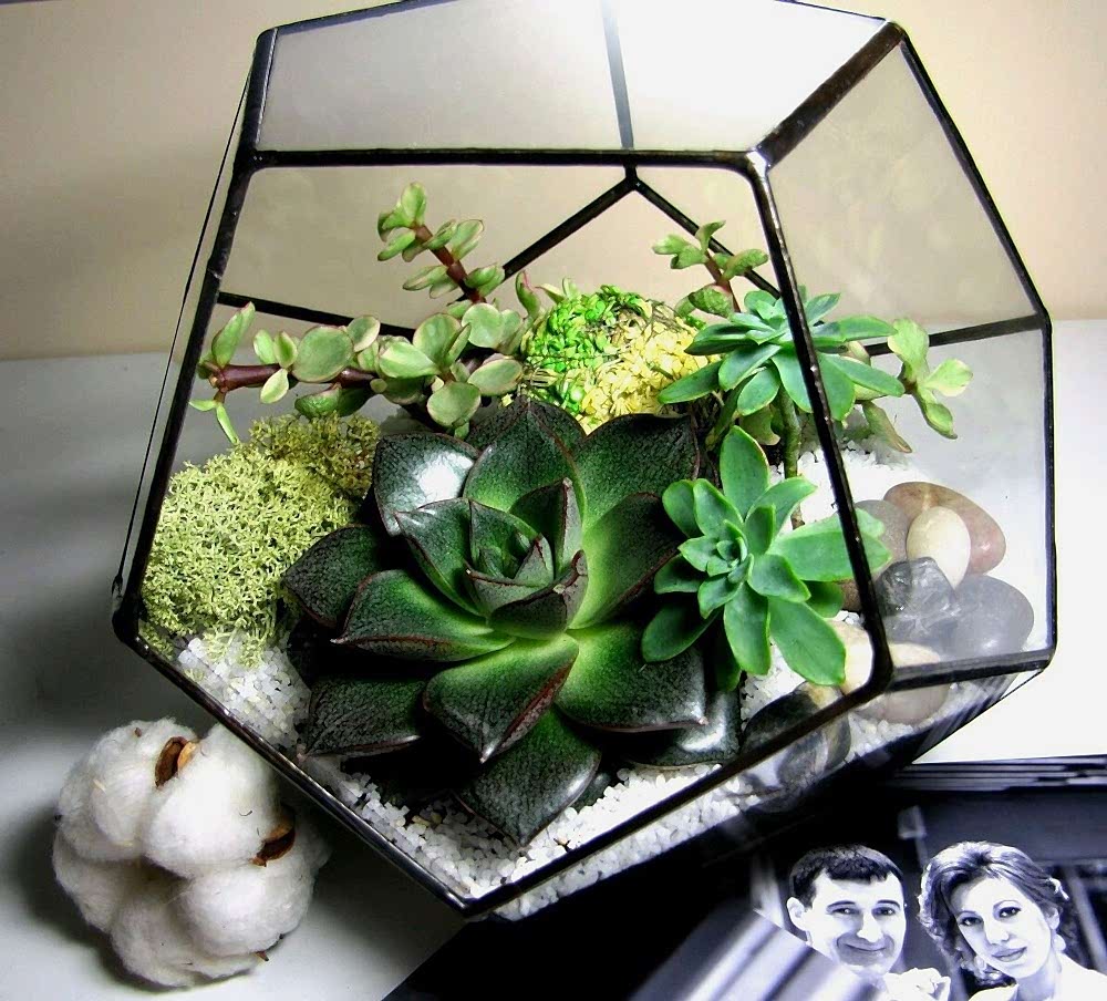 Teraryum Modelleri, Fiyatları